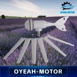 12V 400W Wind Turbine Generator Kit with 6 Blades