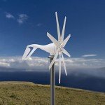 600W 12V Wind Turbine Generator Kit for Home