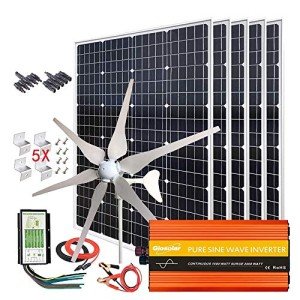 1000W Wind and Solar Power Home Kit