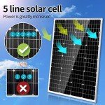 1000W Wind and Solar Power Home Kit