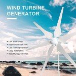 1000W Wind and Solar Power Home Kit