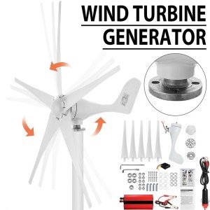 3000W 5-Blade Wind Turbine Generator for Home