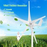 3000W 5-Blade Wind Turbine Generator for Home