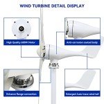 600W Wind Turbine Generator Kit for Home