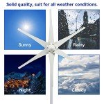 600W Wind Turbine Generator Kit for Home