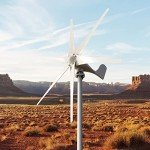 600W Wind Turbine Generator Kit for Home