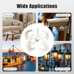 12V 600W Home Wind Turbine Generator Kit