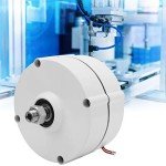 100W Permanent Magnet Generator for Home Wind Turbines