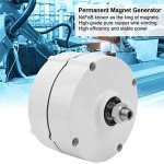 100W Permanent Magnet Generator for Home Wind Turbines
