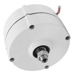 100W Permanent Magnet Generator for Home Wind Turbines