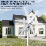 800W Vertical Wind Turbine Generator Kit for Home