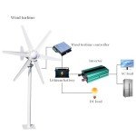 800W Vertical Wind Turbine Generator Kit for Home