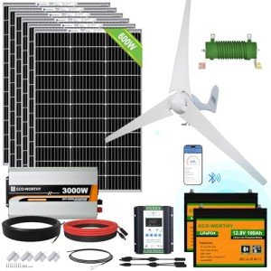 1000W Wind and Solar Power Kit for Home
