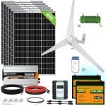 1000W Wind and Solar Power Kit for Home