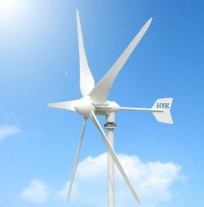1000W 24V Wind Turbine Kit with 5 Blades