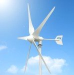 1000W 24V Wind Turbine Kit with 5 Blades