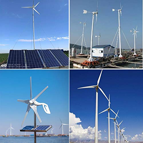 1300W 24V Wind Solar Kit with Accessories