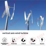 3000W Vertical Wind Turbine with Charger Controller