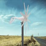 600W Portable Wind Turbine Generator Kit