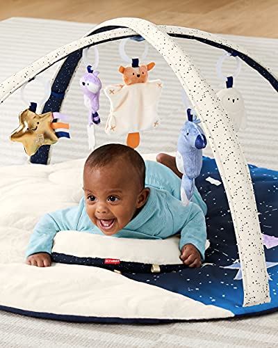 Skip Hop Celestial Dreams Play Gym & Moby Bath Tub