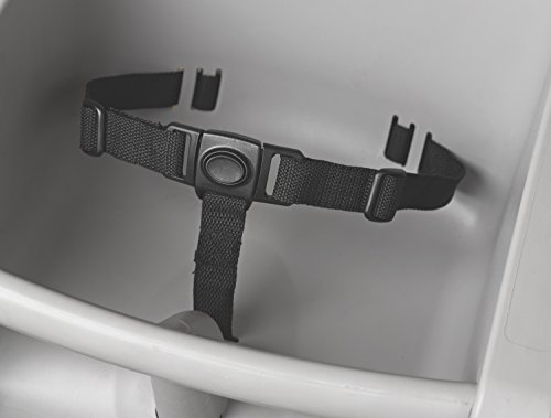 Sturdy High Chair for Children with Wheels