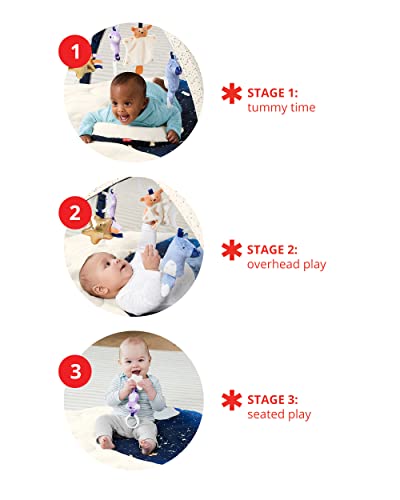 Skip Hop Celestial Dreams Play Gym & Moby Bath Tub