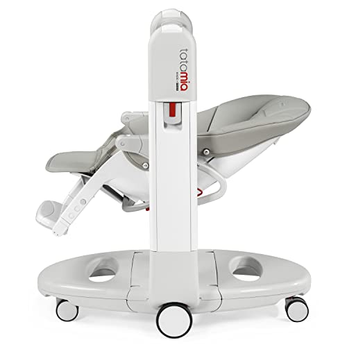 Peg Perego Tatamia 3-in-1 High Chair & Swing