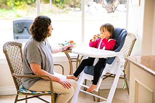 Joovy Foodoo Bassinet & High Chair Combo