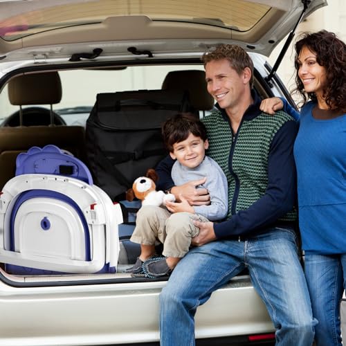 Collapsible Baby Bathtub with Thermometer and Cushion