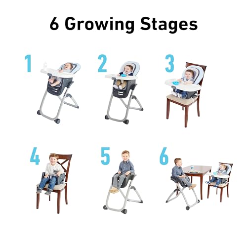 Graco DuoDiner DLX 6-in-1 High Chair