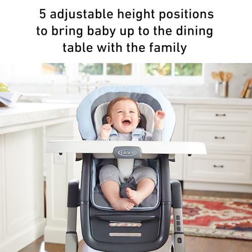 Graco DuoDiner DLX 6-in-1 High Chair