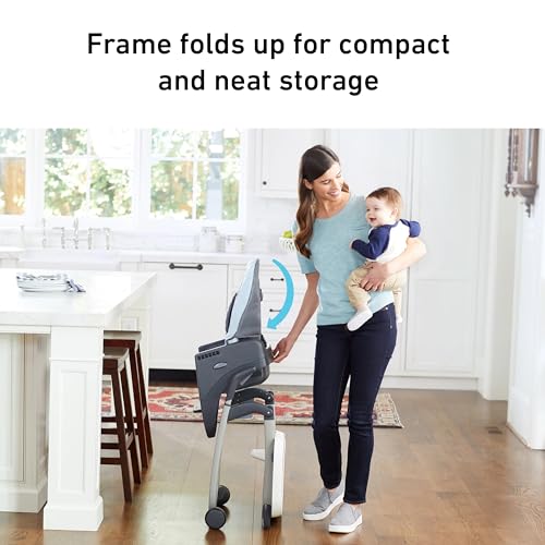 Graco DuoDiner DLX 6-in-1 High Chair