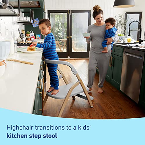 Graco EveryStep 6-in-1 Portable High Chair