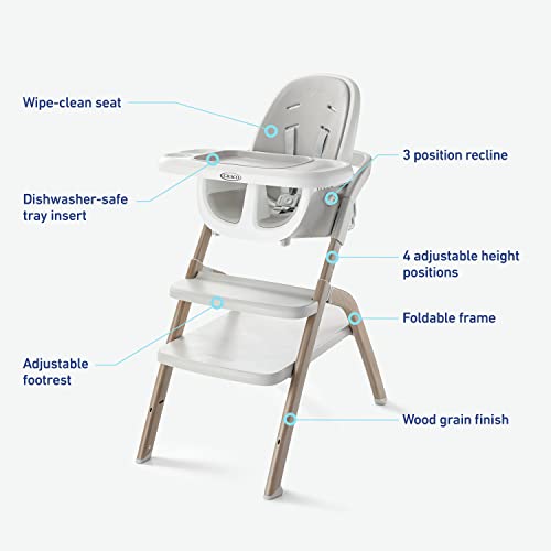 Graco EveryStep 6-in-1 Portable High Chair