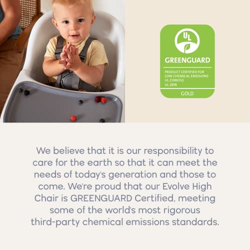 Ergobaby Evolve Portable High Chair - Dark Wood