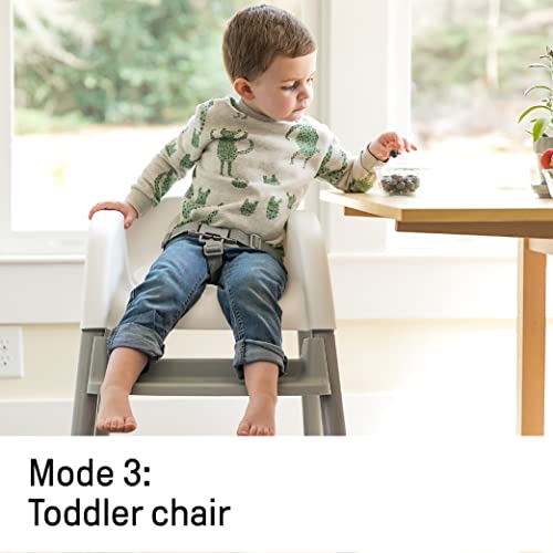 Ingenuity Trio Elite 3-in-1 High Chair