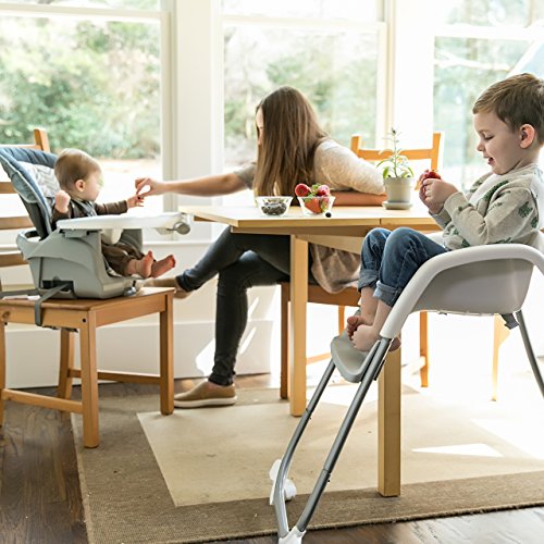 Ingenuity Trio Elite 3-in-1 High Chair