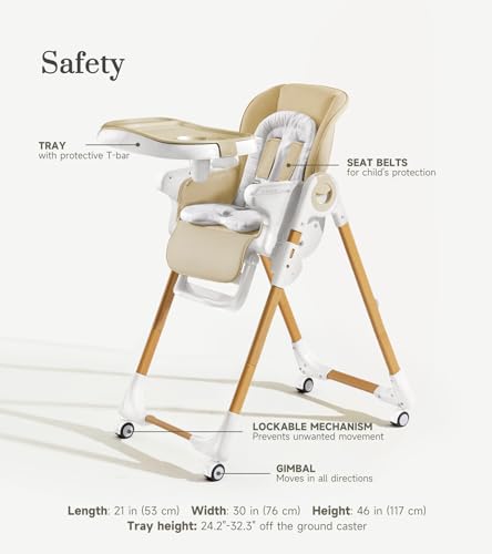 Adjustable Convertible High Chair with Removable Tray