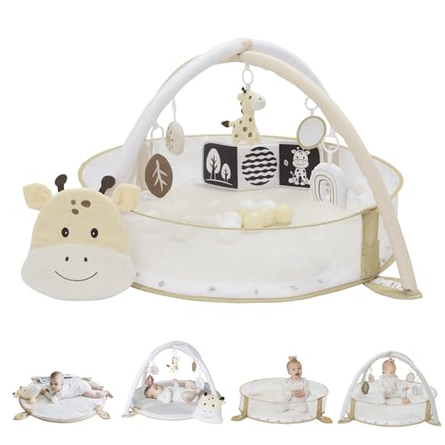 Aila+Aiden 6-in-1 XL Play Gym & Mat