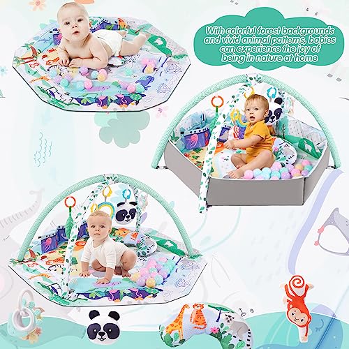 5-in-1 Baby Play Gym Mat with Detachable Toys