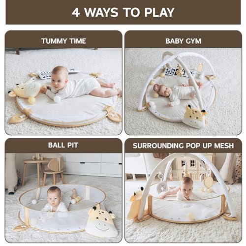 Aila+Aiden 6-in-1 XL Play Gym & Mat