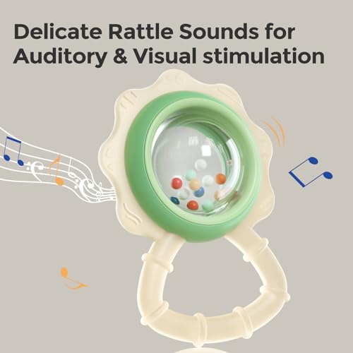 Evoceler Baby Toys: 10 Pcs Rattles and Teethers