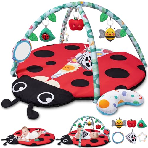 Jyusmile Baby Play Gym Mat with 6 Toys