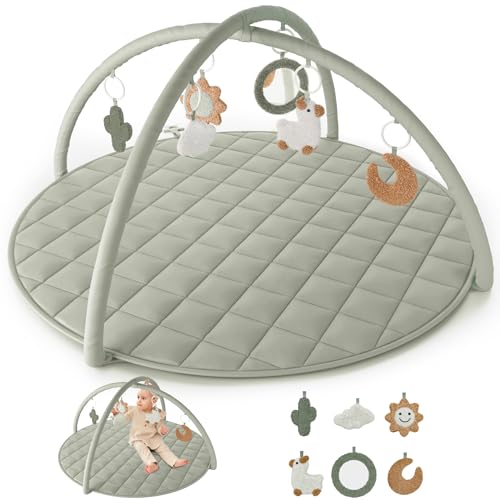Stylish Baby Play Gym and Mat with Toys