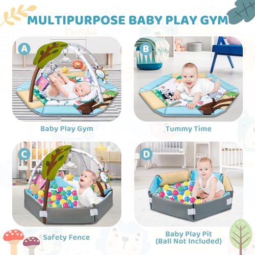 8-in-1 Baby Gym Play Mat with Ball Pit