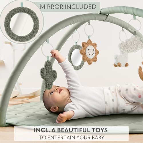 Stylish Baby Play Gym and Mat with Toys