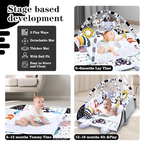TFDER 8-in-1 Baby Gym Play Mat with Detachable Toys