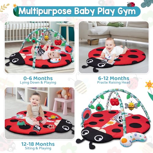 Jyusmile Baby Play Gym Mat with 6 Toys