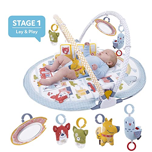 Yookidoo 3-in-1 Baby Activity Gym (Urban Sit Up)