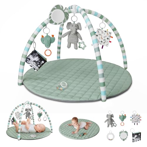 Blissful Diary Baby Play Gym with Detachable Toys